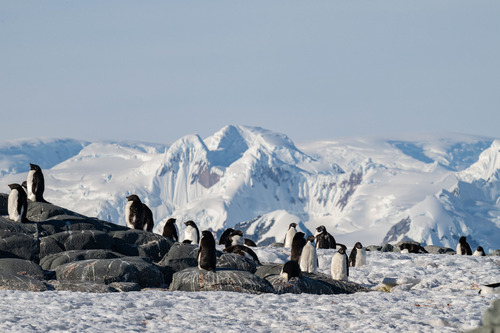 Prospect Point, Antarctica, Stas Zakharov